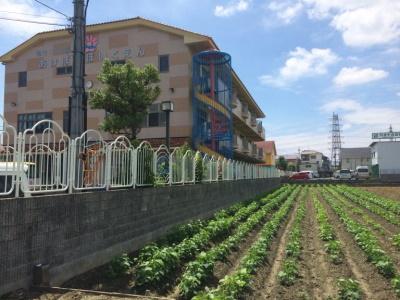 あけぼの保育園｜八尾市｜正社員のお仕事