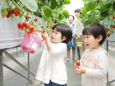 大森保育園｜千葉市＊週休2日＊ブランクOK＊車通勤OK|hn