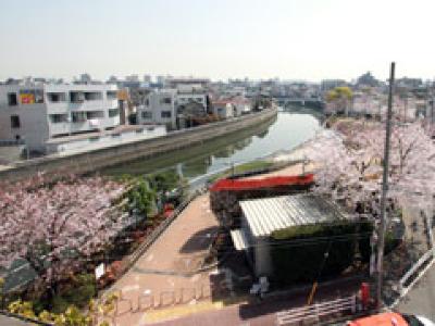 周りの環境はとても閑静です！春には桜が見えますよ♪