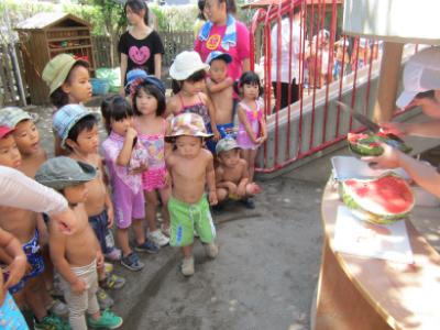 社会福祉法人杉の子保育会