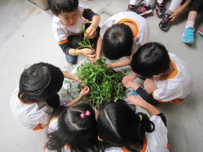 「大きくなってね♪」自分たちで育てた野菜は格段においしいね！