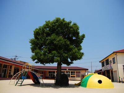 新城保育園｜長崎県大村市「大村駅」マイカー通勤OK