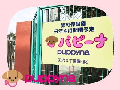 パピーナ荻窪天沼保育園｜東京都杉並区