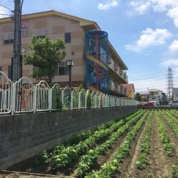 あけぼの保育園｜八尾市八尾木東＊派遣でのお仕事