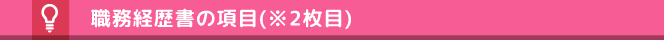 職務経歴書の項目/2枚目