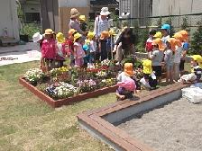 園庭ではみんなでお花を育てたりも！