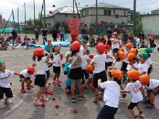 玉入れで大奮闘！運動会♪